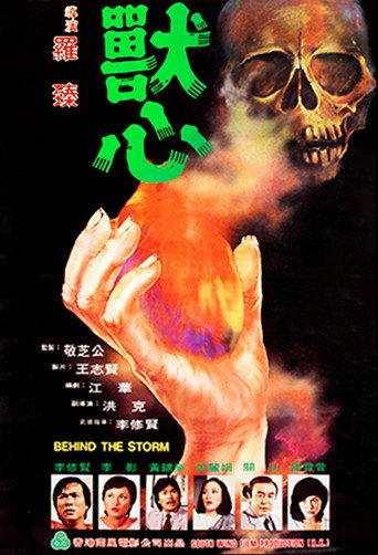 Behind the Storm movie poster