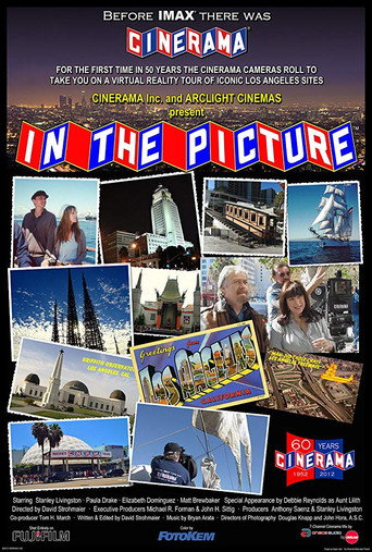 In the Picture movie poster