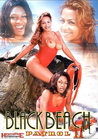 Black Beach Patrol 11 movie poster