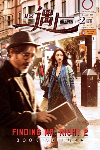 Finding Mr. Right 2 movie poster