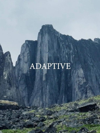 Adaptive movie poster