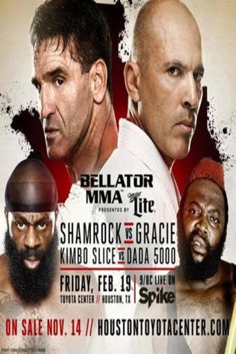 Bellator 149 movie poster