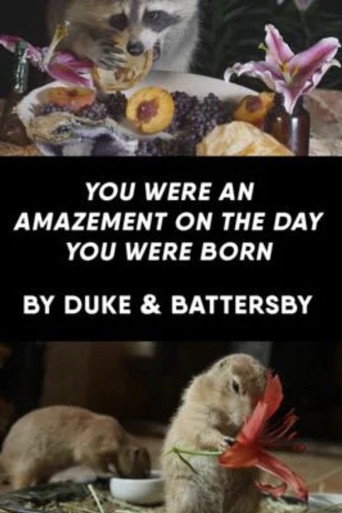 You Were an Amazement on the Day You Were Born movie poster