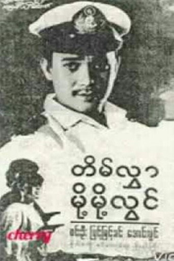 Tein Hlwar Moht Moht Lwin movie poster