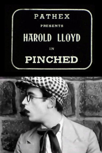Pinched movie poster