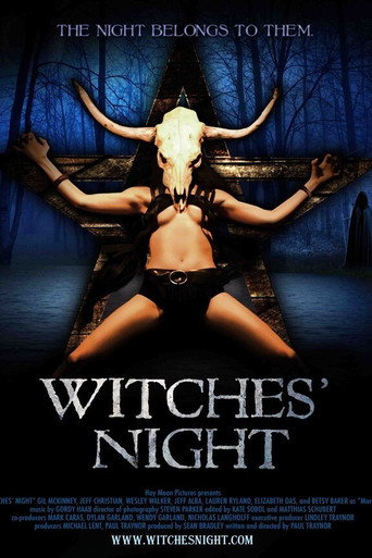 Witches' Night movie poster