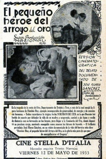 The little hero of Arroyo del Oro movie poster