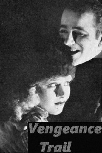 The Vengeance Trail movie poster