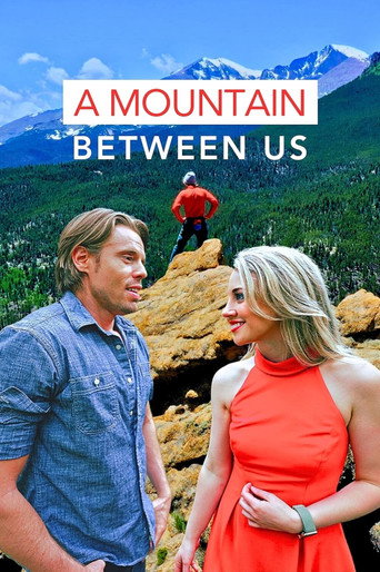 A Mountain Between Us movie poster