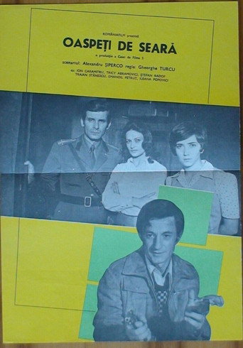 Evening Guests movie poster