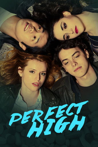 Perfect High movie poster
