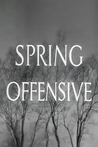 Spring Offensive movie poster