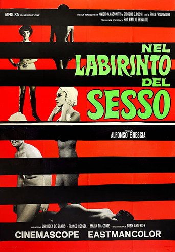 The Labyrinth of Sex movie poster