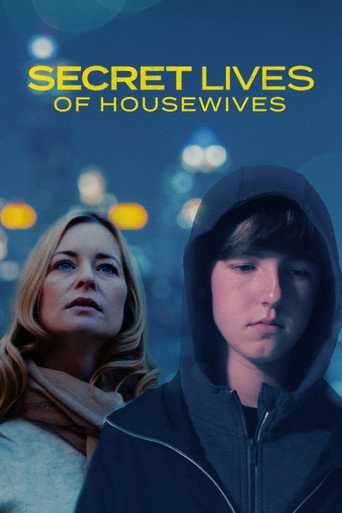 Secret Lives Of Housewives movie poster