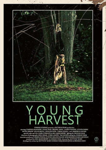 Young Harvest movie poster