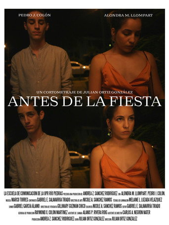 Before the Party movie poster