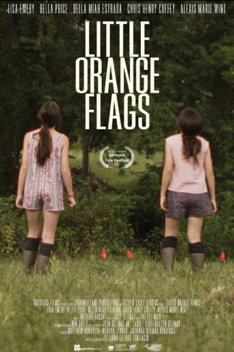 Little Orange Flags movie poster