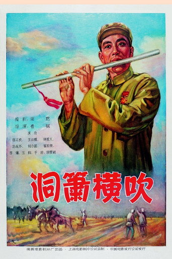 洞箫横吹 movie poster
