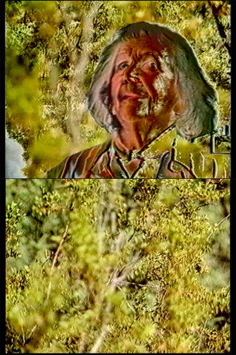 Lilith movie poster