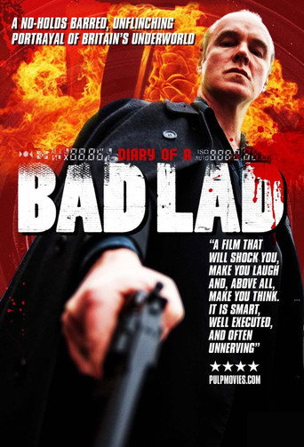 Diary of a Bad Lad movie poster