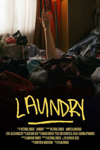 Laundry movie poster