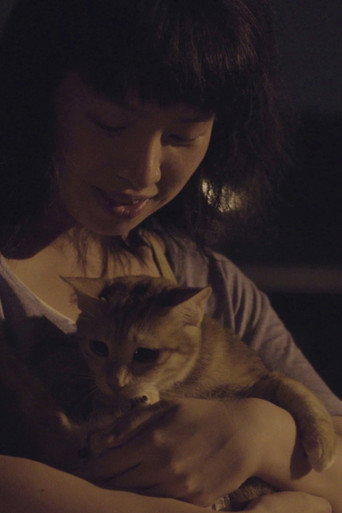 Stray Cat movie poster