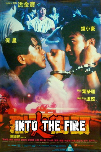 Into the Fire movie poster