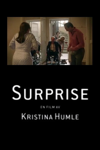 Surprise movie poster