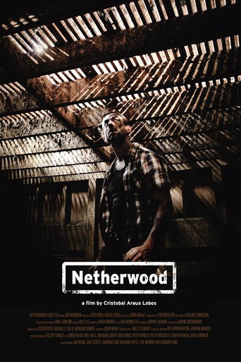 Netherwood movie poster