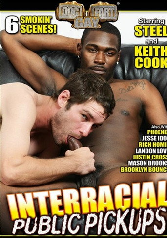 Interracial Public Pickups movie poster