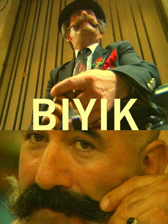 The Moustache movie poster