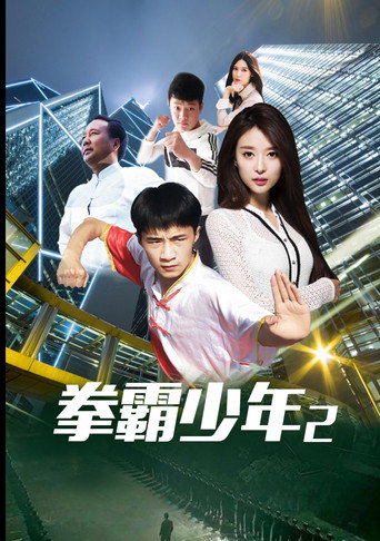 拳霸少年2 movie poster