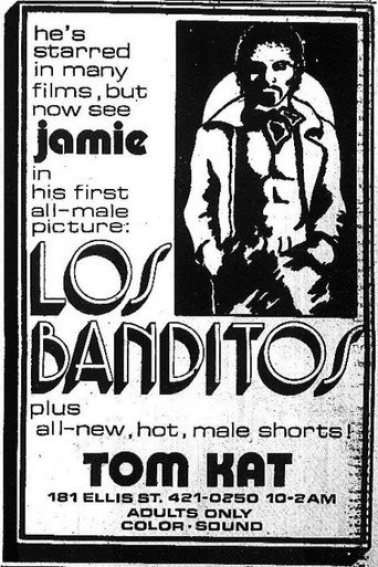 Los Banditos movie poster