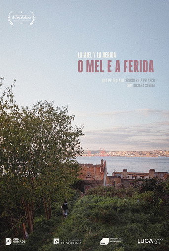 O mel e a ferida movie poster