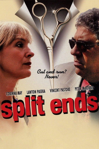 Split Ends movie poster