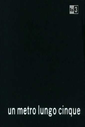 Un metro lungo cinque movie poster