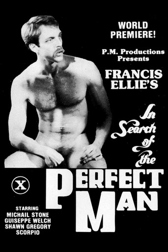 In Search of the Perfect Man movie poster