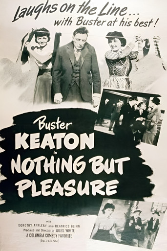Nothing But Pleasure movie poster