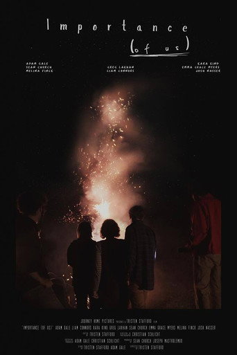 Importance (of Us) movie poster