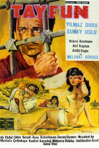 Tayfun movie poster