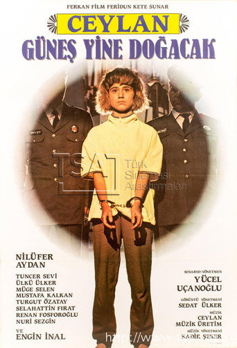 Güneş Yine Doğacak movie poster