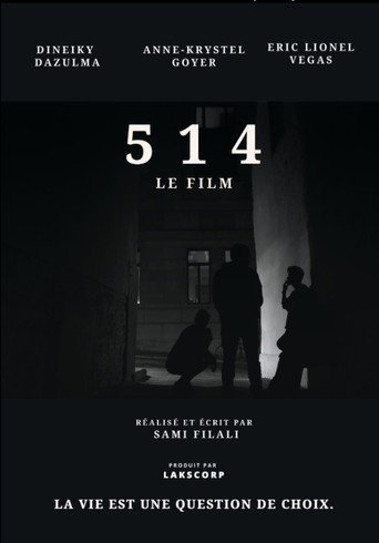 514 movie poster