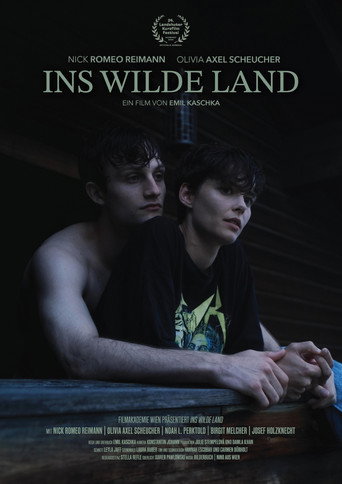 Into the Wild Land movie poster