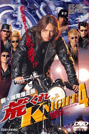 Rough KNIGHT 4 movie poster