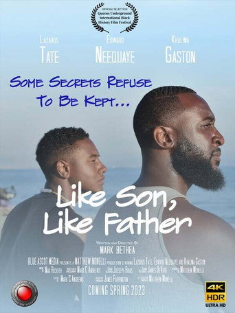 Like Son, Like Father movie poster