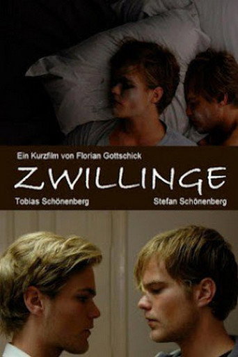 Twins movie poster