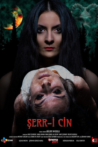 Şerr-i Cin movie poster
