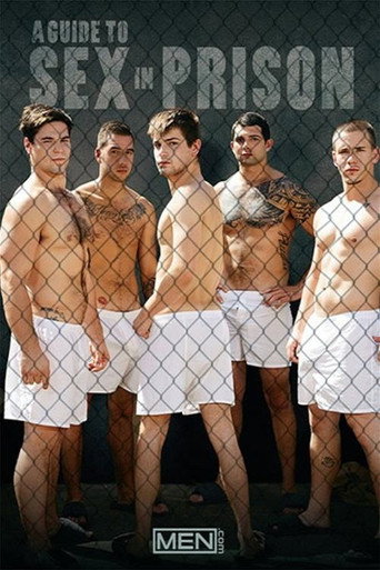 A Guide to Sex in Prison movie poster