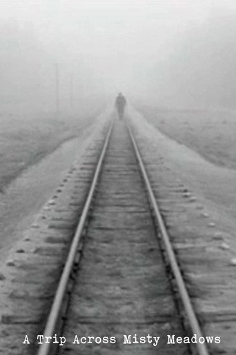 A Trip Across Misty Meadows movie poster