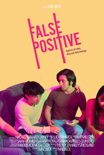 False Positive movie poster